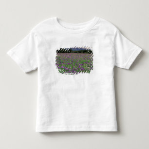 North America, USA, Alaska, Anchorage, Eklutna Toddler T-Shirt