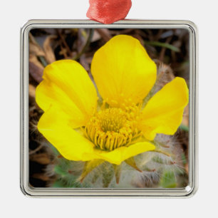 North America, USA, Alaska, Denali National Metal Ornament
