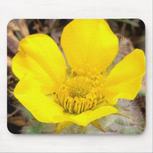 North America, USA, Alaska, Denali National Mouse Pad