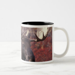 North America, USA, Alaska, Denali NP. Alces Two-Tone Coffee Mug