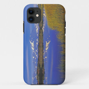North America, USA, Alaska, Denali NP, iPhone 11 Case
