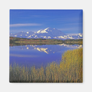 North America, USA, Alaska, Denali NP, Magnet