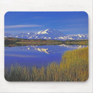 North America, USA, Alaska, Denali NP, Mouse Pad