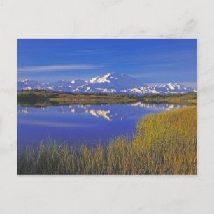 North America, USA, Alaska, Denali NP, Postcard