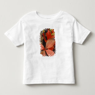 North America, USA, Alaska, Denali NP. Toddler T-Shirt