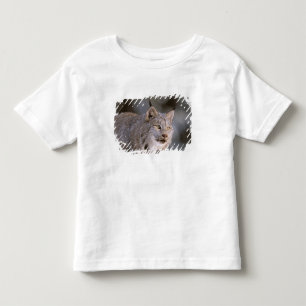 North America, USA, Alaska, Haines. Lynx (Felis 2 Toddler T-Shirt