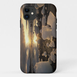 North America, USA, Alaska, Ice Bay, Icescape, iPhone 11 Case