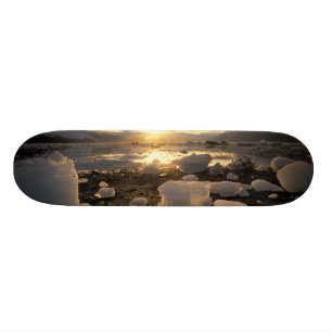 North America, USA, Alaska, Ice Bay, Icescape, Skateboard