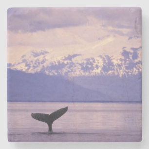 North America, USA, Alaska, Inside Passage. Stone Coaster