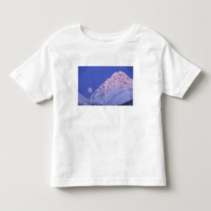 North America, USA, Alaska, Knik River, Toddler T-Shirt