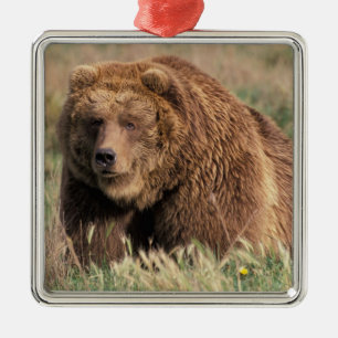 North America, USA, Alaska, Kodiak Island, Metal Tree Decoration