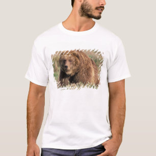 North America, USA, Alaska, Kodiak Island, T-Shirt