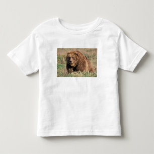 North America, USA, Alaska, Kodiak Island, Toddler T-Shirt