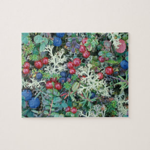 North America, USA, Alaska, Landscape, berries Jigsaw Puzzle