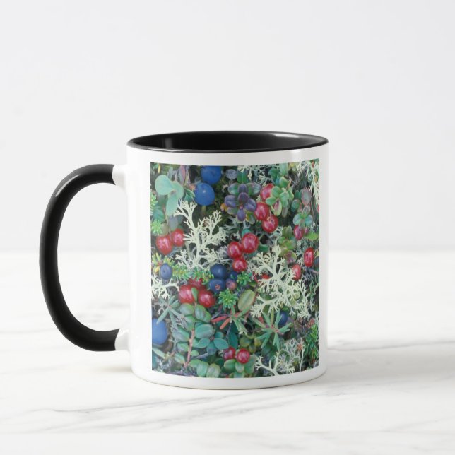 North America, USA, Alaska, Landscape, berries Mug (Left)