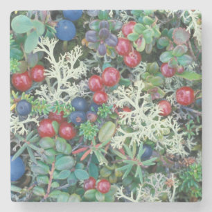 North America, USA, Alaska, Landscape, berries Stone Coaster