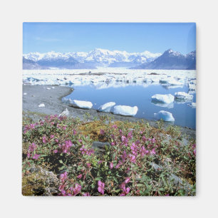 North America, USA, Alaska, Prince William Magnet