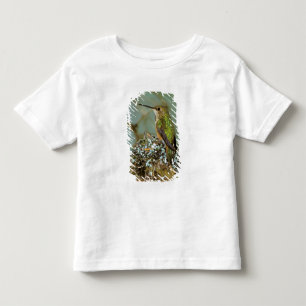 North America, USA, Alaska. Rufous Humming bird Toddler T-Shirt