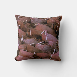 North America, USA, Alaska, Yukon Delta National Cushion