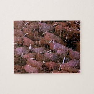 North America, USA, Alaska, Yukon Delta National Jigsaw Puzzle