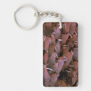 North America, USA, Alaska, Yukon Delta National Key Ring