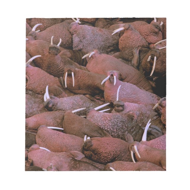 North America, USA, Alaska, Yukon Delta National Notepad (Front)