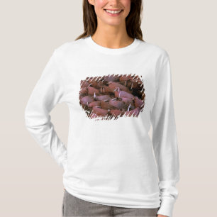 North America, USA, Alaska, Yukon Delta National T-Shirt
