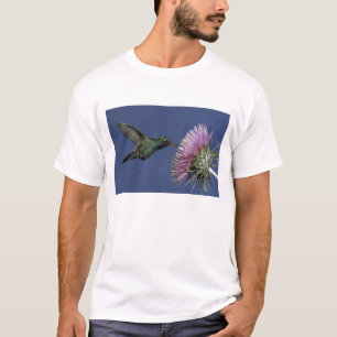 North America, USA, Arizona. Broad-billed T-Shirt