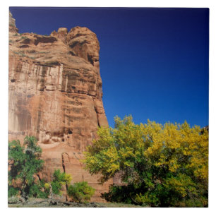 North America, USA, Arizona, Navajo Indian 3 Ceramic Tile