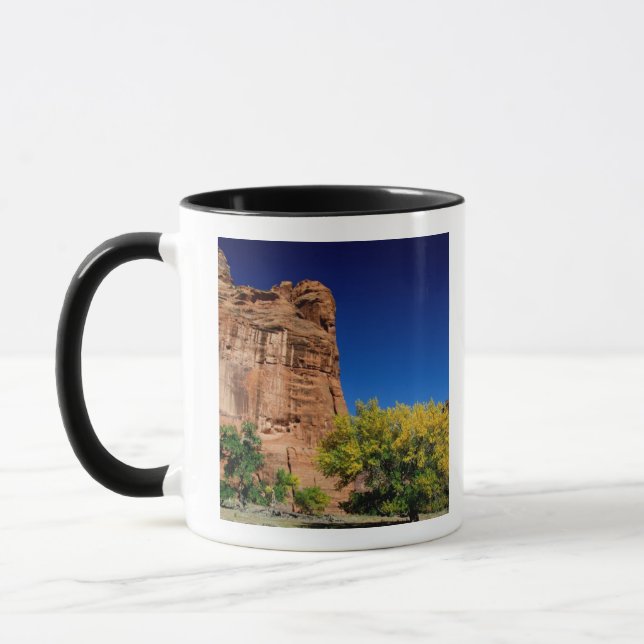 North America, USA, Arizona, Navajo Indian 3 Mug (Left)