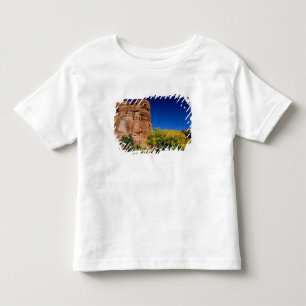 North America, USA, Arizona, Navajo Indian 3 Toddler T-Shirt