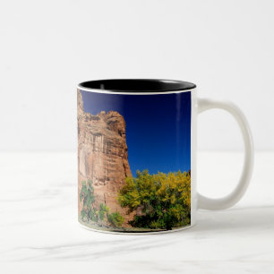 North America, USA, Arizona, Navajo Indian 3 Two-Tone Coffee Mug