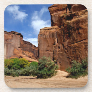 North America, USA, Arizona, Navajo Indian 5 Coaster