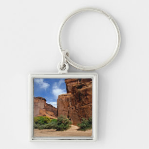 North America, USA, Arizona, Navajo Indian 5 Key Ring