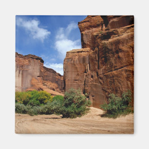 North America, USA, Arizona, Navajo Indian 5 Magnet