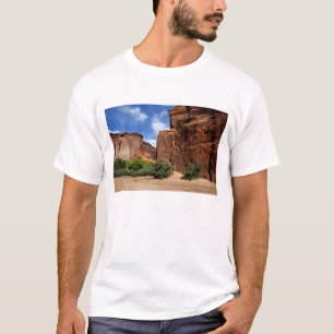 North America, USA, Arizona, Navajo Indian 5 T-Shirt