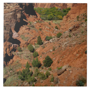 North America, USA, Arizona, Navajo Indian Ceramic Tile