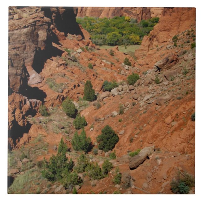 North America, USA, Arizona, Navajo Indian Ceramic Tile (Front)