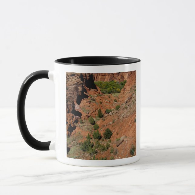 North America, USA, Arizona, Navajo Indian Mug (Left)