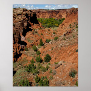 North America, USA, Arizona, Navajo Indian Poster