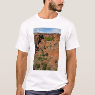 North America, USA, Arizona, Navajo Indian T-Shirt