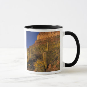 North America, USA, Arizona, Organ Pipe Cactus 2 Mug