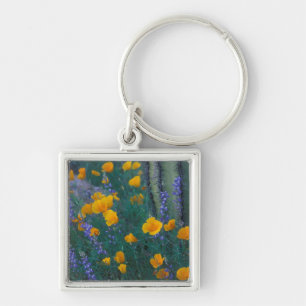 North America, USA, Arizona, Organ Pipe Cactus Key Ring