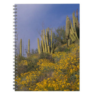 North America, USA, Arizona, Organ Pipe Cactus Notebook