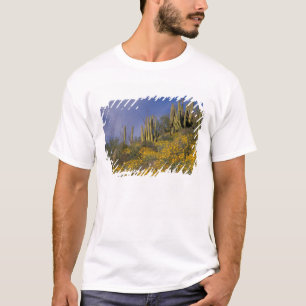 North America, USA, Arizona, Organ Pipe Cactus T-Shirt