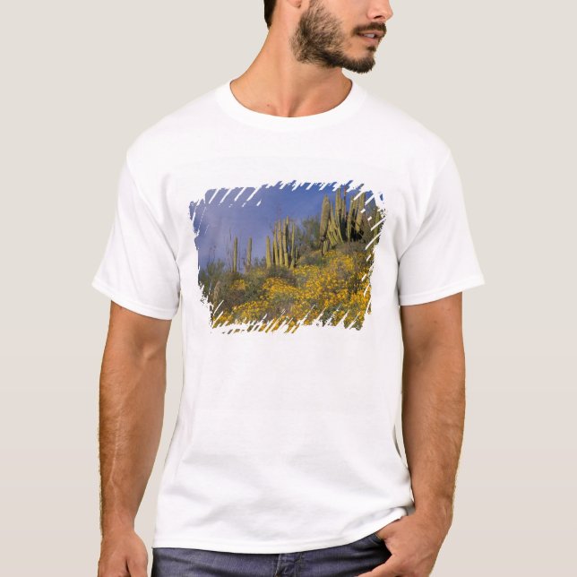 North America, USA, Arizona, Organ Pipe Cactus T-Shirt (Front)