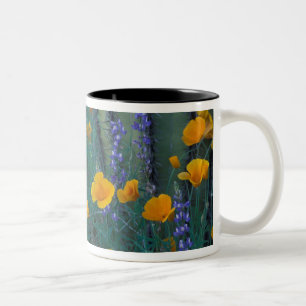 North America, USA, Arizona, Organ Pipe Cactus Two-Tone Coffee Mug