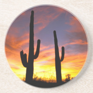 North America, USA, Arizona, Sonoran Desert. Coaster