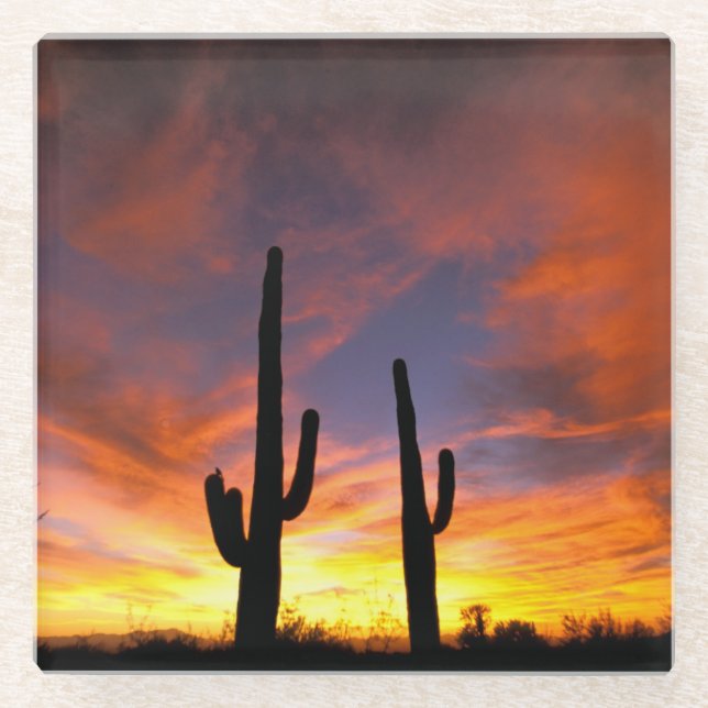 North America, USA, Arizona, Sonoran Desert Glass Coaster (Front)