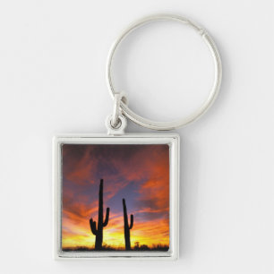 North America, USA, Arizona, Sonoran Desert. Key Ring